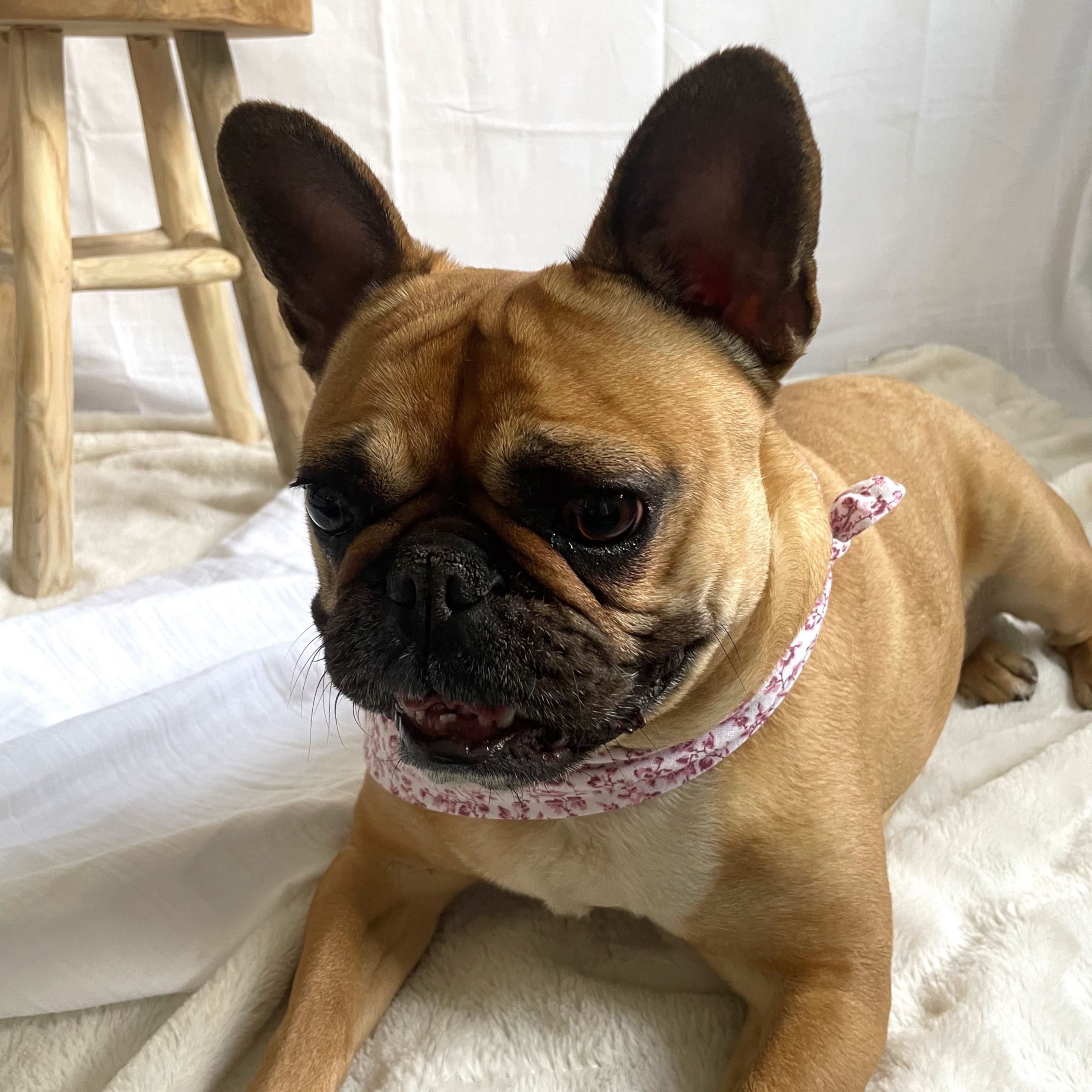 Bandana "PLUME" – Image 2