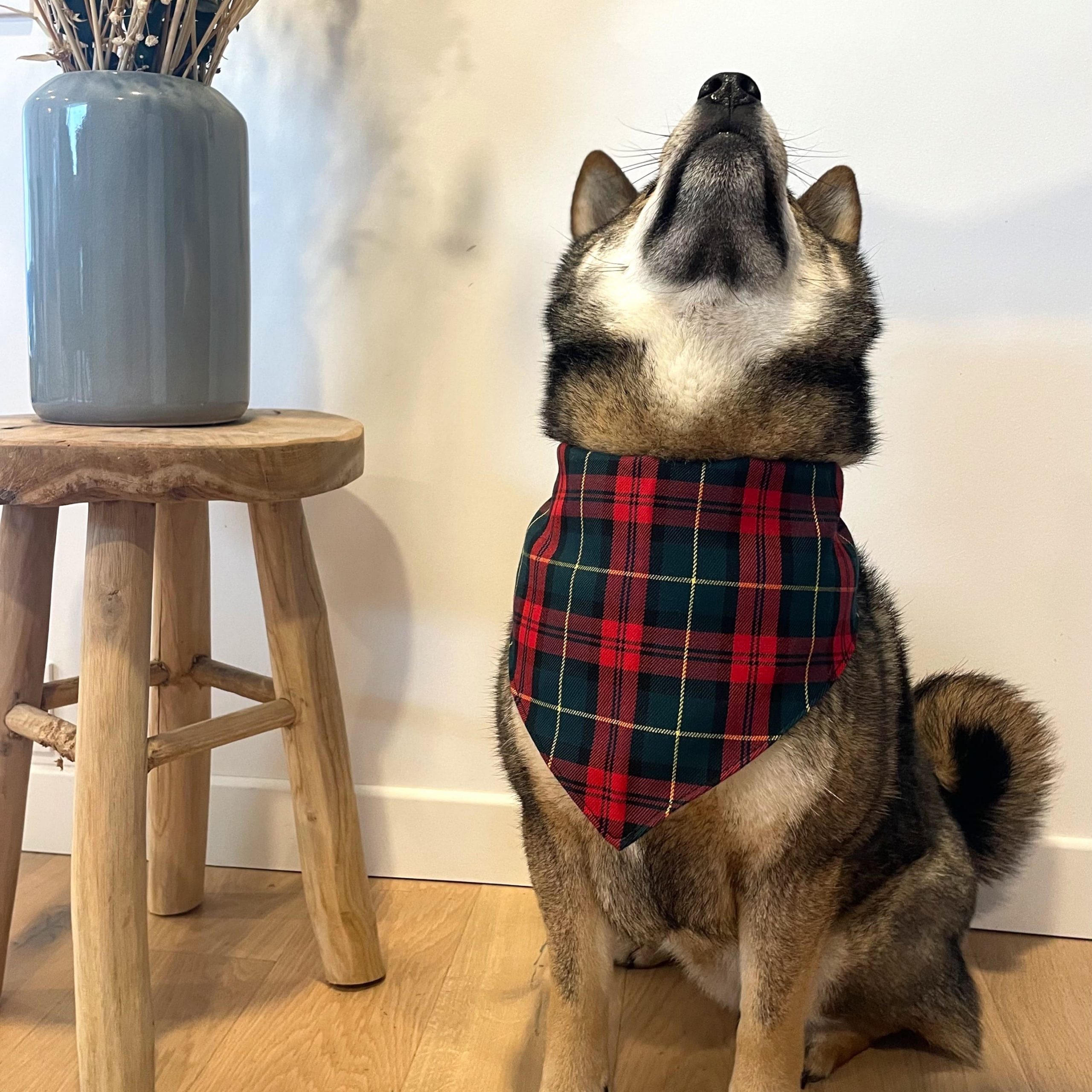 Bandana "TAIKO" – Image 2