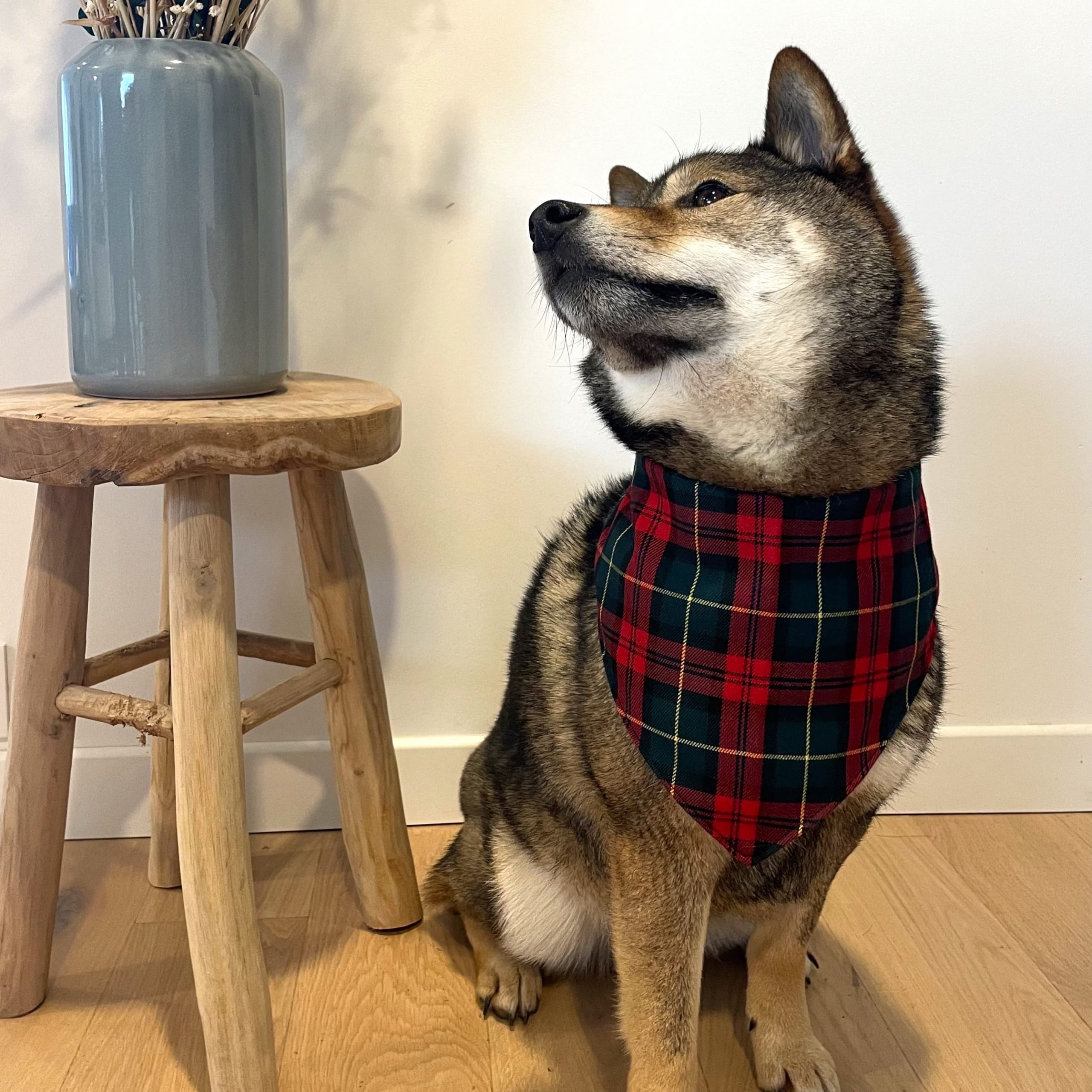 Bandana "TAIKO" – Image 3