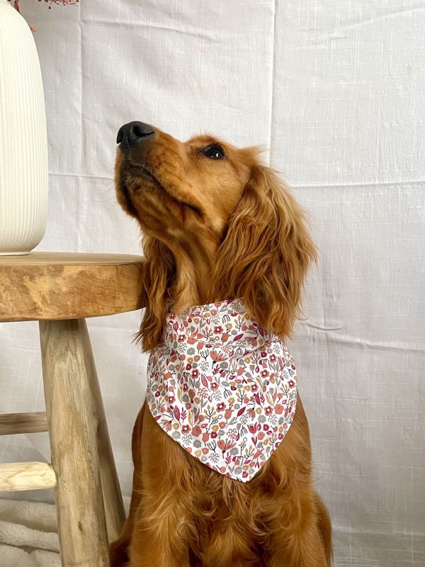Bandana animal chien chat