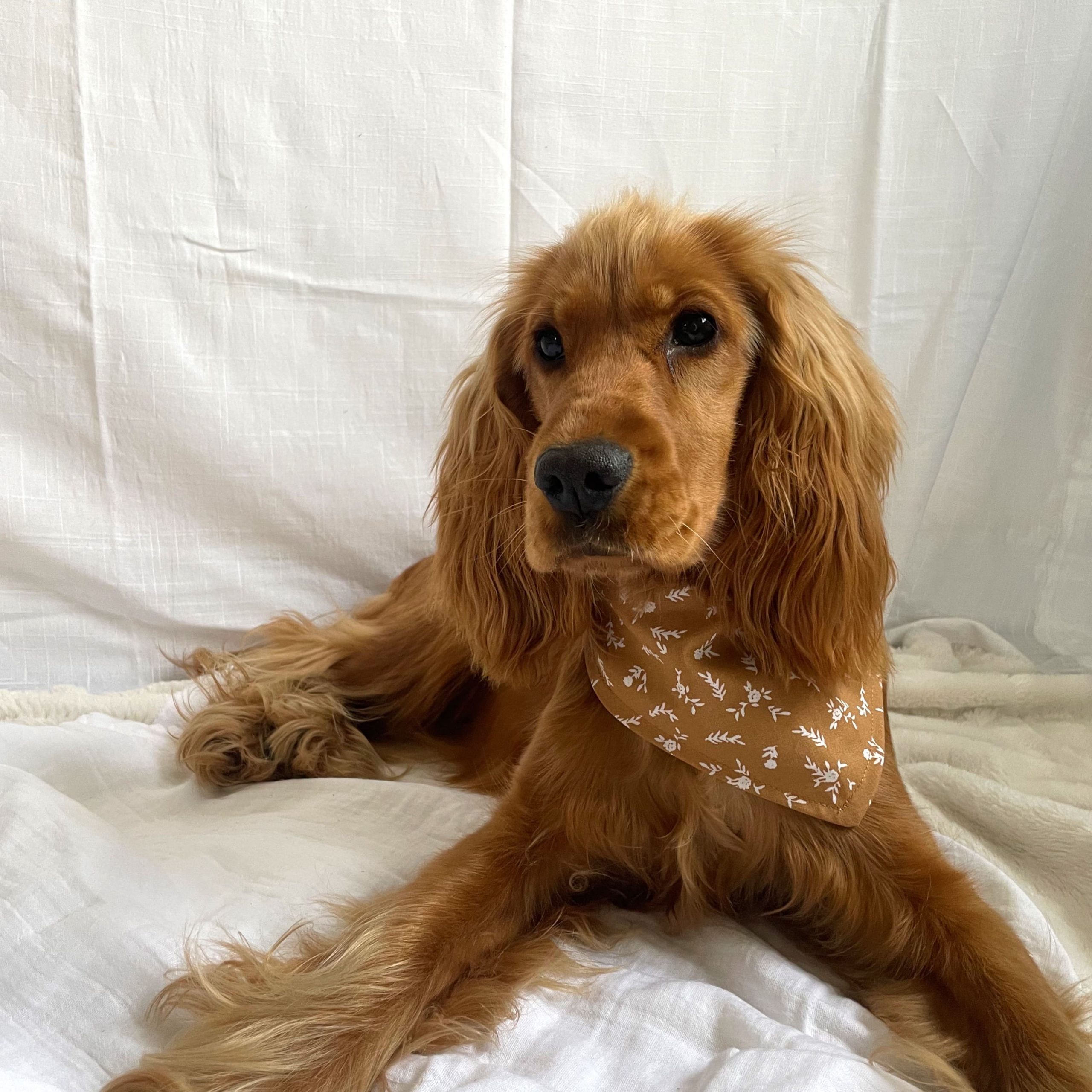 Bandana "VELOURS" – Image 2