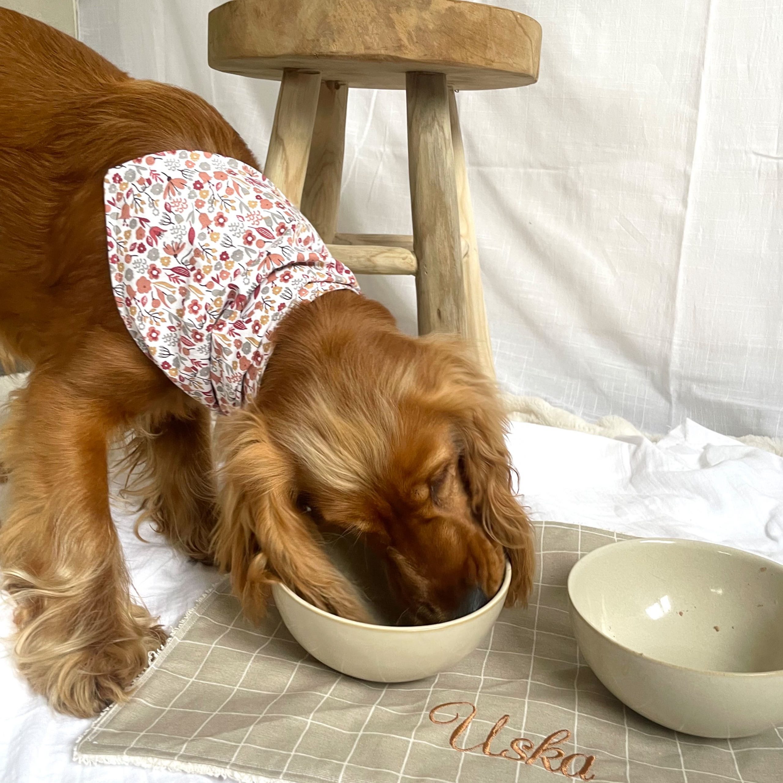 Tapis de gamelle "PRINCE DE GALLES" – Image 3