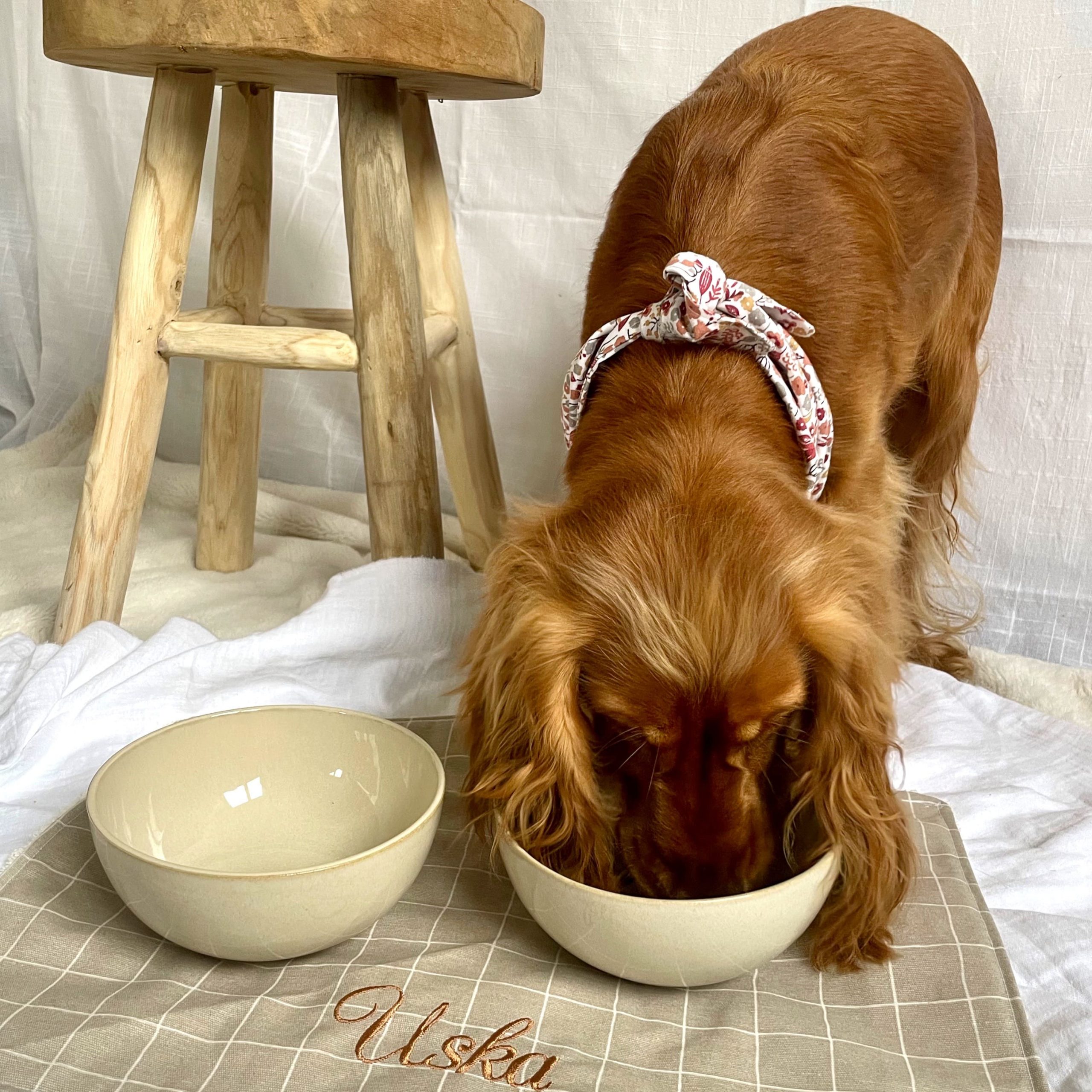 Tapis de gamelle "PRINCE DE GALLES" – Image 2