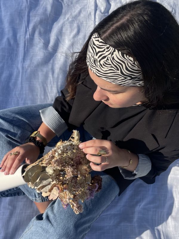 Bandeaux cheveux zèbre